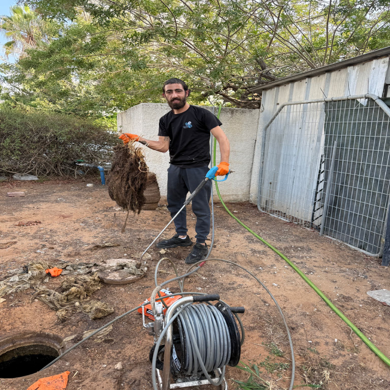 כמות שורשים גדולה בצנרת